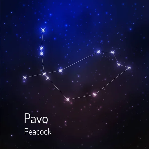 Constelación en el cielo estrellado nocturno — Vector de stock