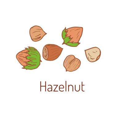 Fındık elle çizilmiş