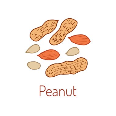 Fıstık elle çizilmiş