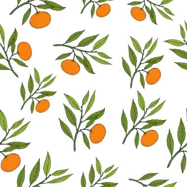 Mandarine seamless modeli