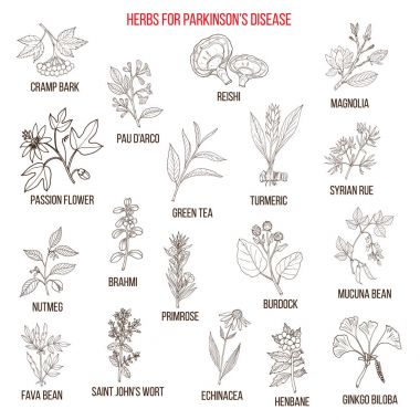 Parkinson hastalığı için en iyi doğal otlar