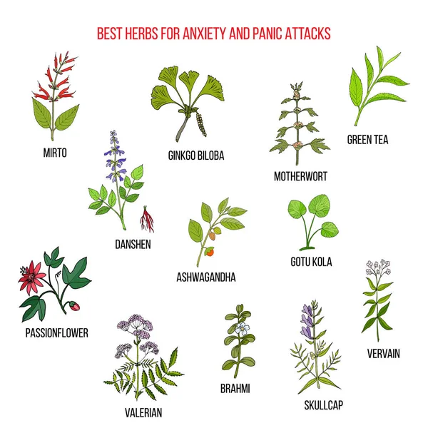 Melhores ervas naturais para ataques de ansiedade e pânico — Vetor de Stock
