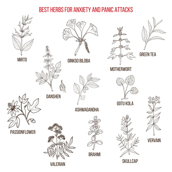 Best natural herbs for anxiety and panic attacks