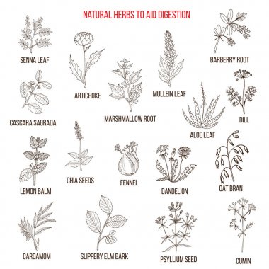 Herbal remedies for aid digestion clipart