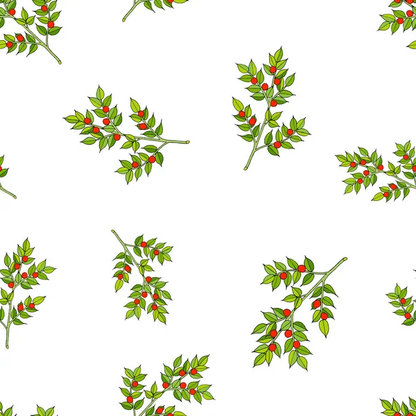 Modèle sans couture avec Christmas Berry — Image vectorielle