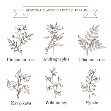 Vintage collection of medical herbs and plants clipart