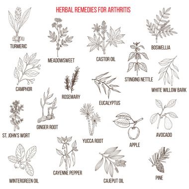 Best herbal remedies for arthriris clipart