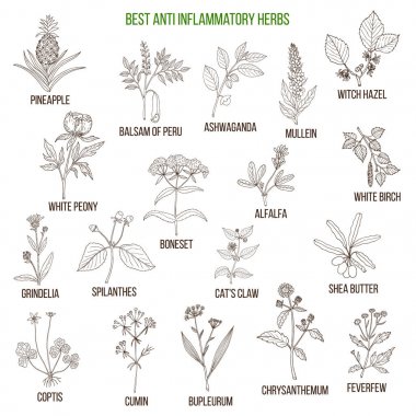 En iyi anti-inflamatuar otlar. Vektör set