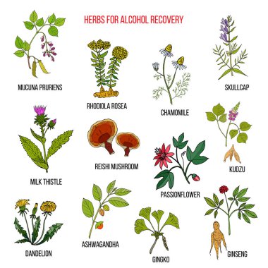 Best herbs for alcohol addiction recovery clipart