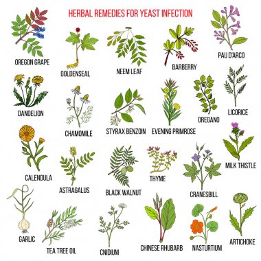 Best herbal remedies for yeast infection clipart