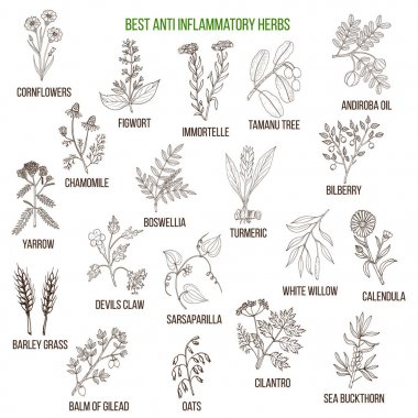 En iyi anti-inflamatuar otlar