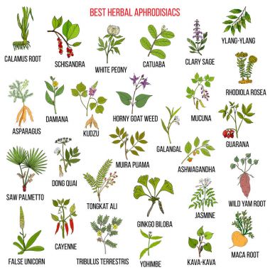 En iyi doğal bitkisel aphrodisiacs