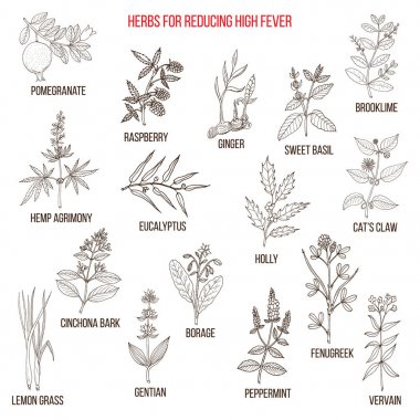 Yüksek ateş azaltmak için en iyi bitkisel ilaçlar