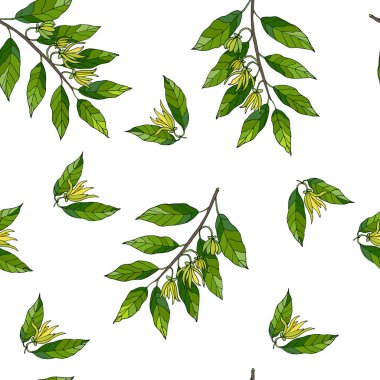 Ylang ylang seamless modeli el ile çizilmiş