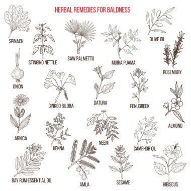 Herbal remedies for baldness clipart