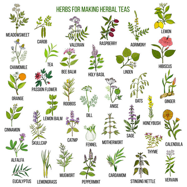 Best herbs for teas