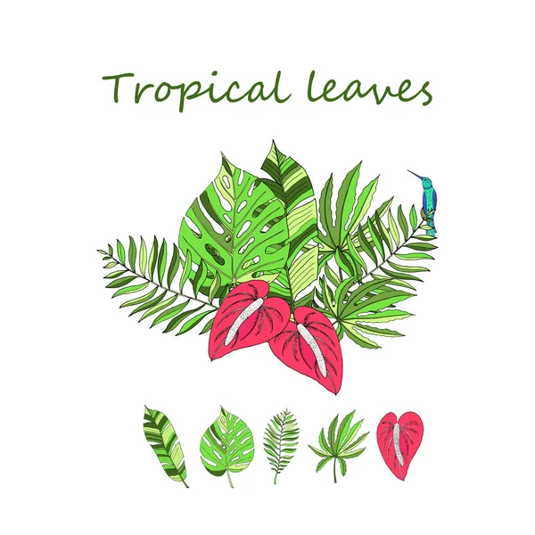 Blühende tropische Blätter — Stockvektor