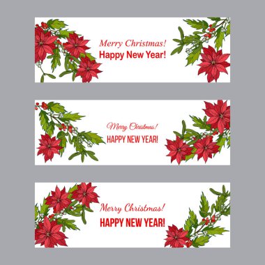 Holly, Atatürk çiçeği ve ökseotu. Noel ve yılbaşı Banner