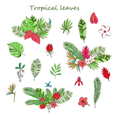 Çiçek cennet el çekilmiş tropikal yaprak