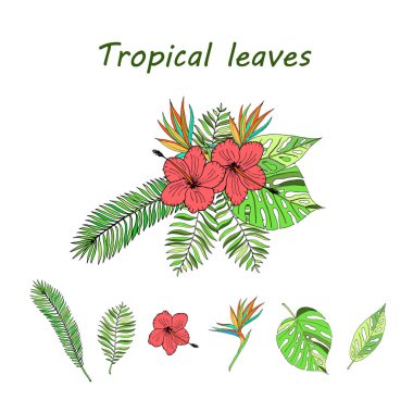 Elle çizilmiş tropikal yaprak.