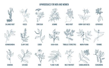 En iyi bitkisel aphrodisiacs