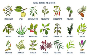 Best herbal remedies for arthritis clipart