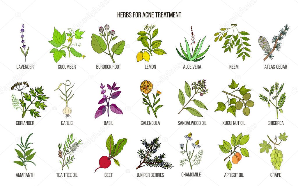 Best herbs for acne treatment