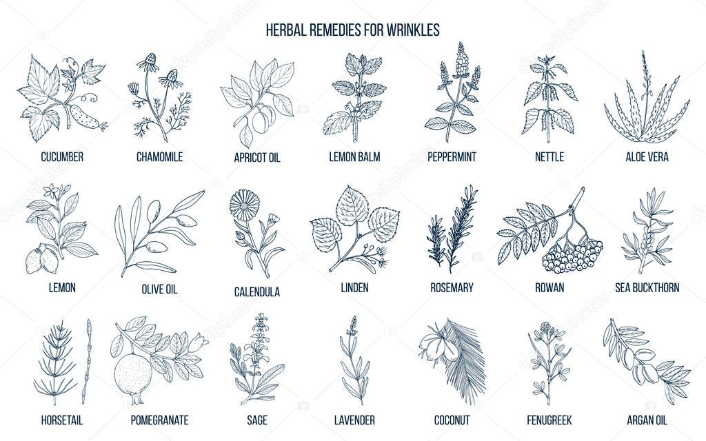 Best herbal remedies for wrinkles