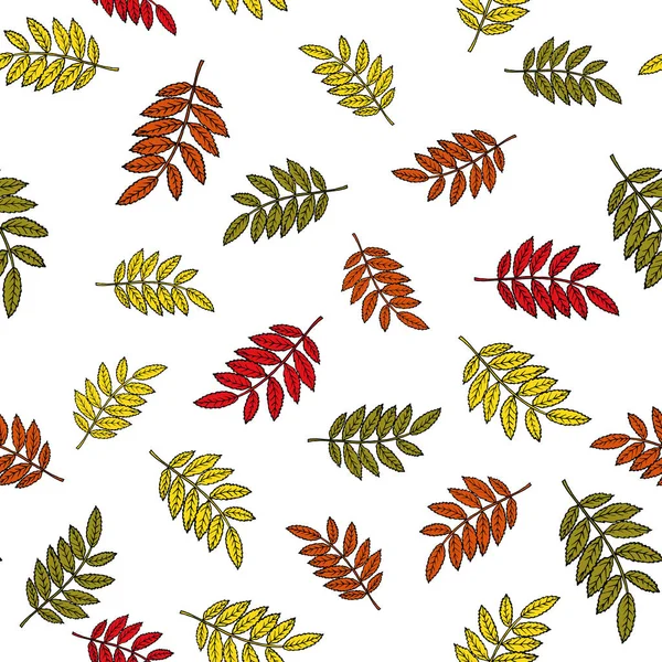 Modèle d'automne sans couture avec des feuilles de rowan dessinées à la main — Image vectorielle
