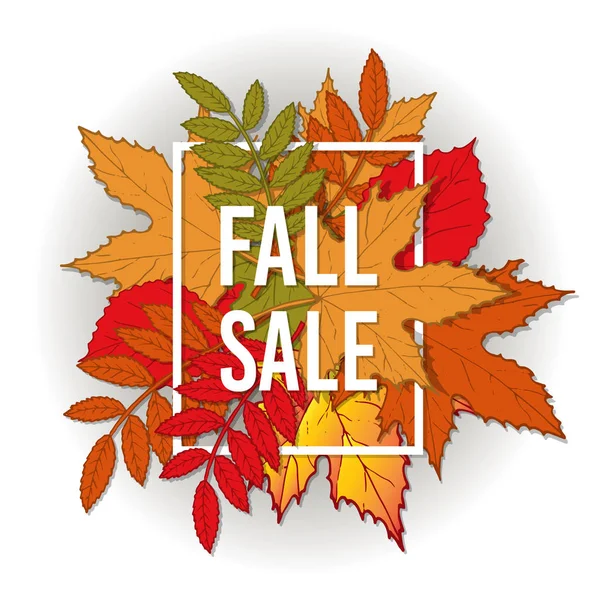 Φθινόπωρο φθινόπωρο πώληση αφίσας με φύλλα χρώματος. — Διανυσματικό Αρχείο