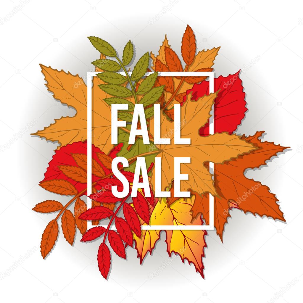 Autumn fall sale poster with color leaves.