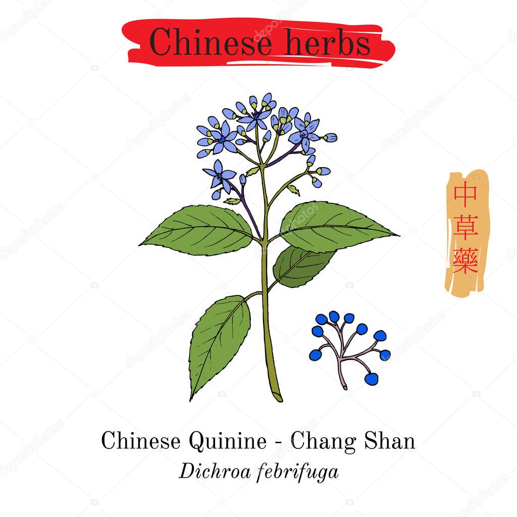 Medicinal herbs of China. Chinese Quinine
