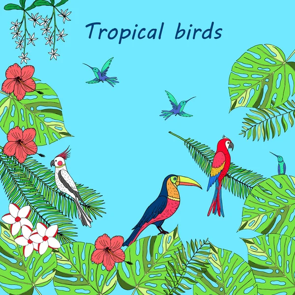 Aves tropicales dibujadas a mano — Vector de stock