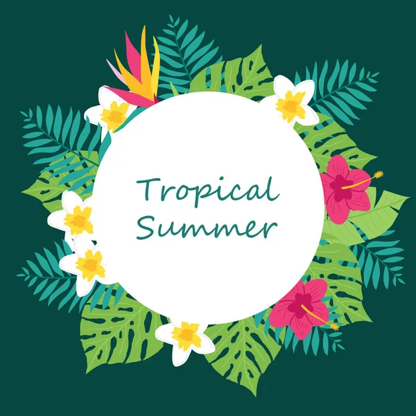 Summer time hand drawn tropic background — Stock Vector