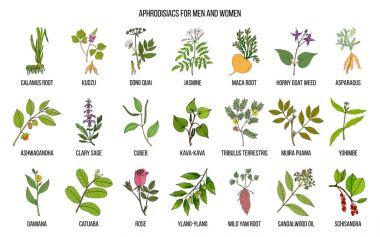 En iyi bitkisel aphrodisiacs