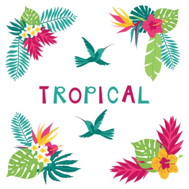 Yaz tropikal köşe elemanları