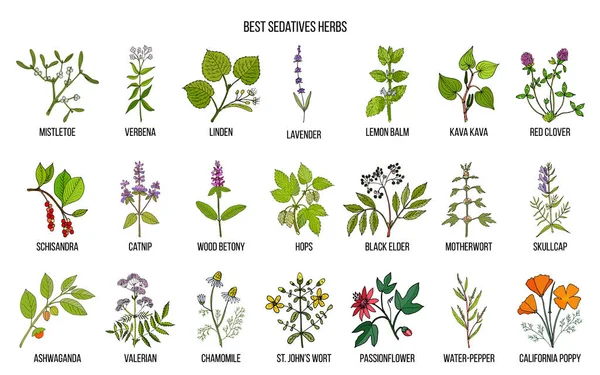 Καλύτερα ηρεμιστικά βότανα — Διανυσματικό Αρχείο