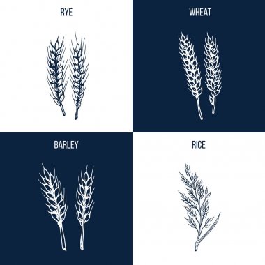 Dört dizi el çekilmiş yenilebilir ve şifalı bitkiler