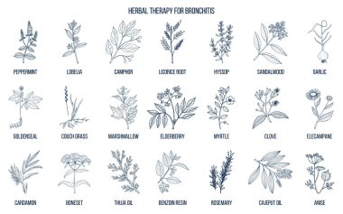 Herbal therapy for bronchitis clipart