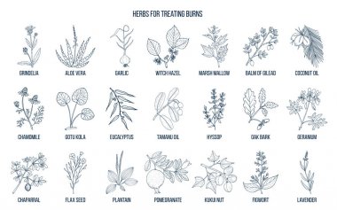 Yanık tedavisi için en iyi otlar topluluğu