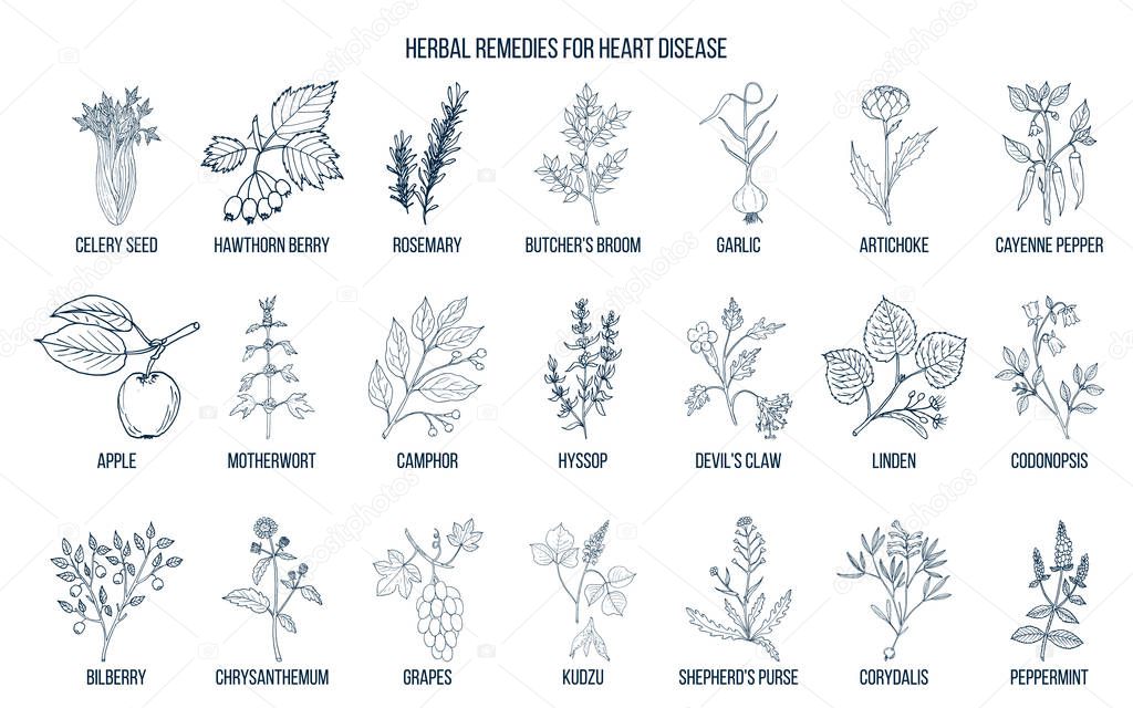 Collection of best herbs for heart disease