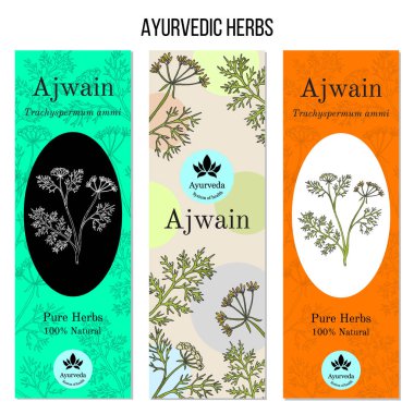 Ayurveda otlar afiş, ajwain