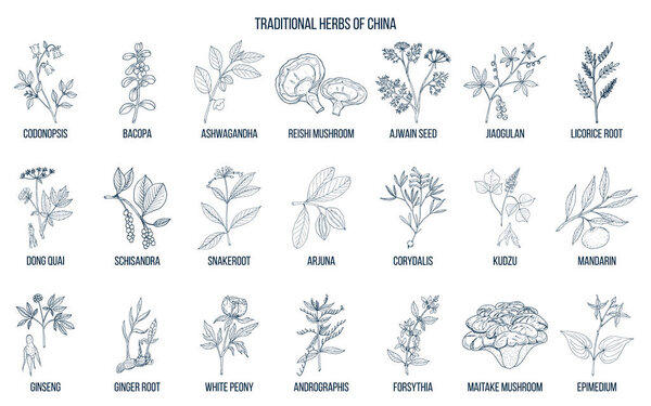 Chinese traditional medicinal herbs