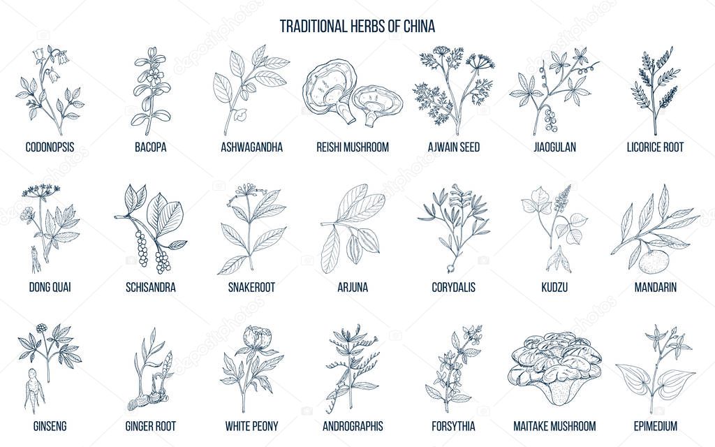 Chinese traditional medicinal herbs