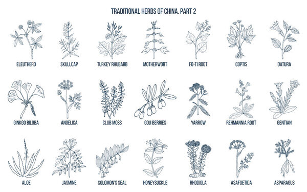 Китайские традиционные лекарственные травы
