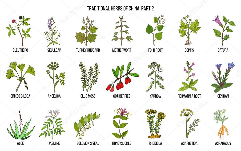Chinese traditional medicinal herbs — Stock Vector © Foxyliam 184428574
