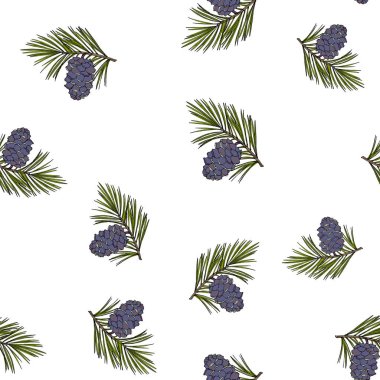 Sibirya çam kozalakları ve dalları