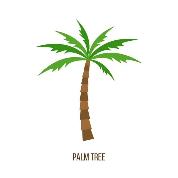 Tropische Palme — Stockvektor