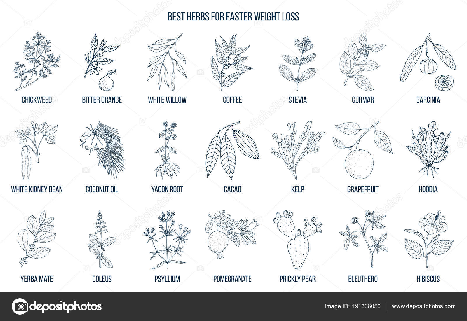 Plantas naturales para bajar de peso