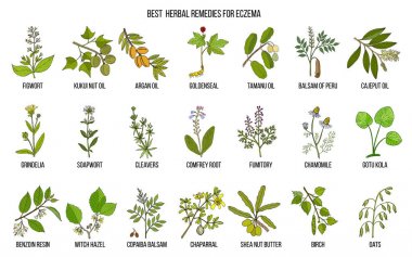 Best medicinal herbs for eczema. clipart